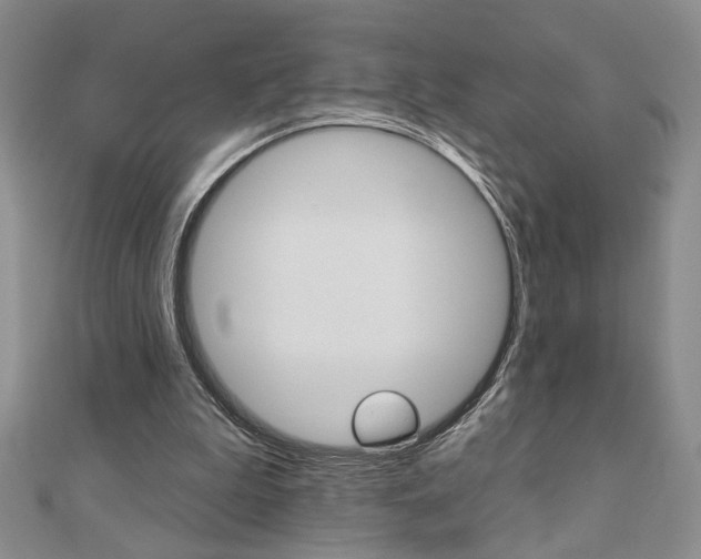 X0000110680199200906121042