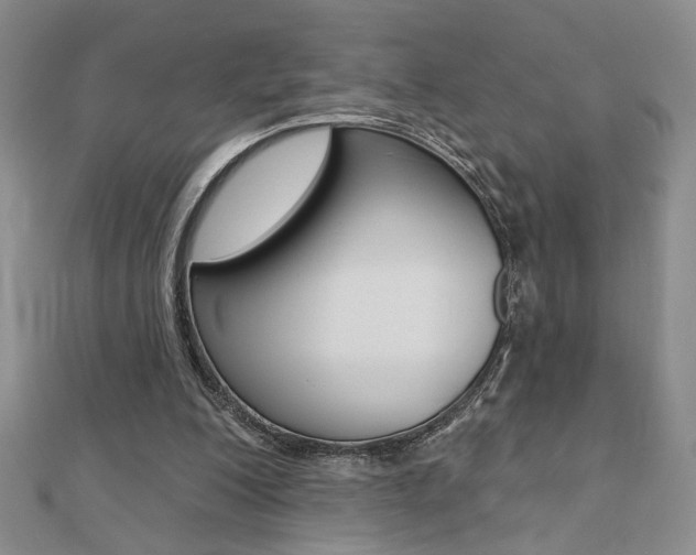X0000110680200200906121042