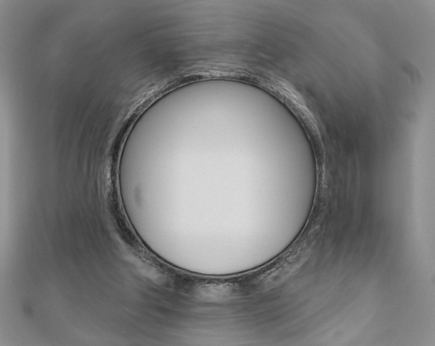 X0000110680202200906121042