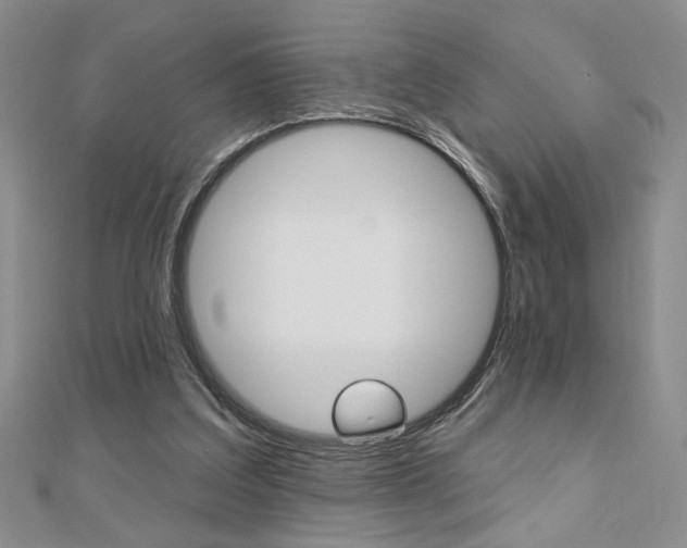 X0000110680203200906121042
