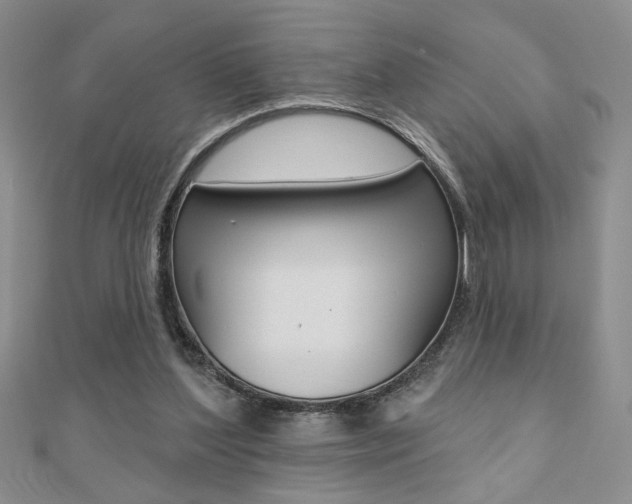 X0000110680204200906121042