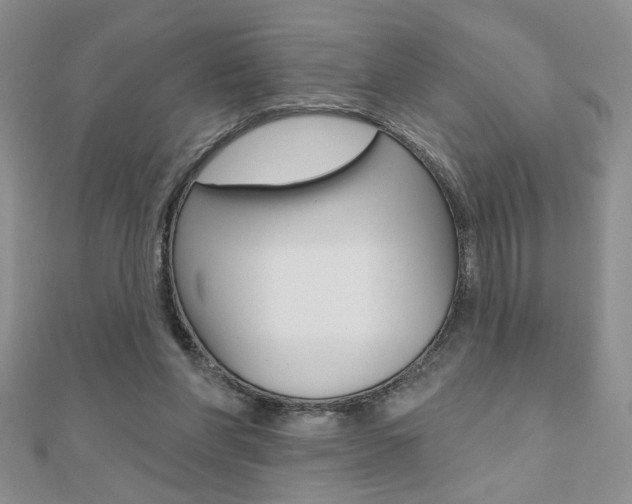 X0000110680206200906121042