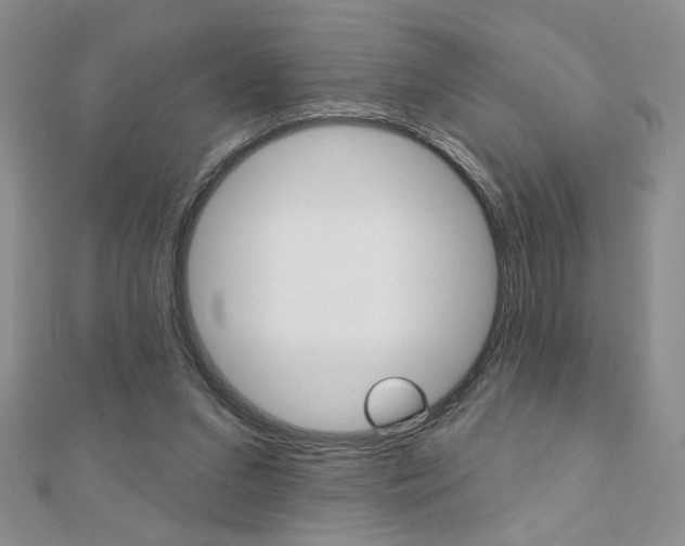 X0000110680207200906121042