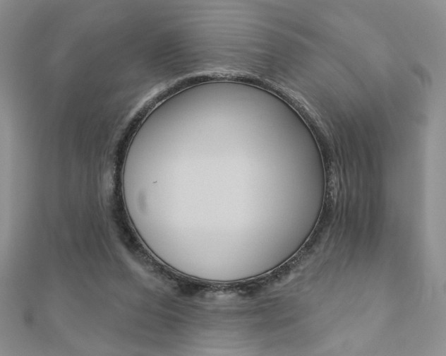 X0000110680208200906121042