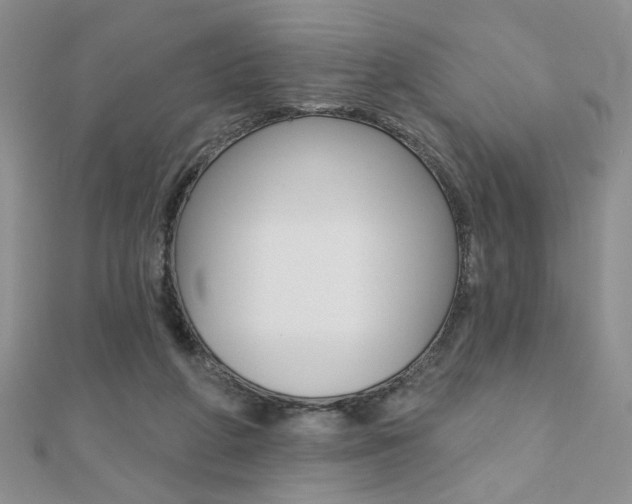 X0000110680210200906121042