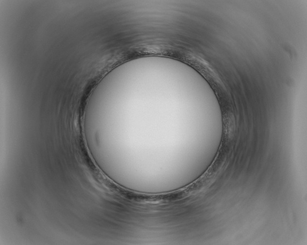 X0000110680213200906121042
