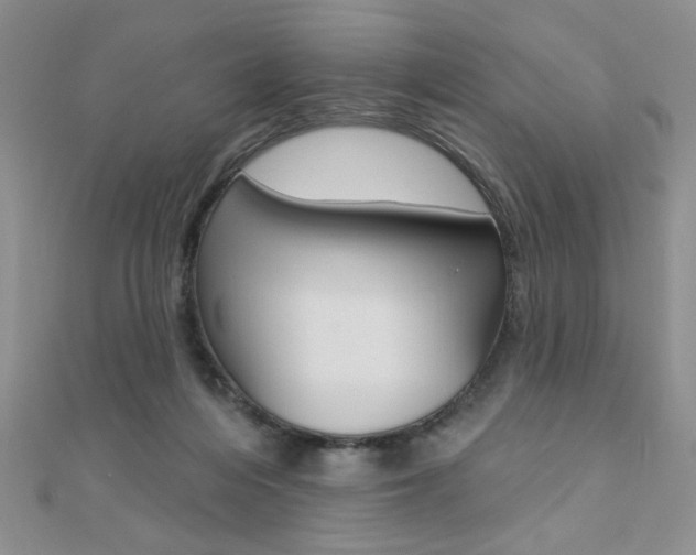 X0000110680216200906121042