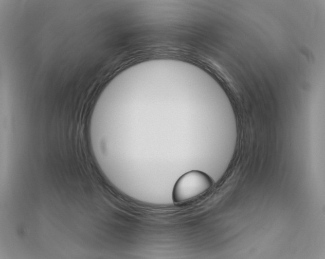 X0000110680217200906121042