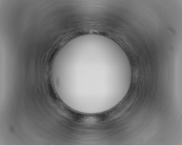 X0000110680218200906121042