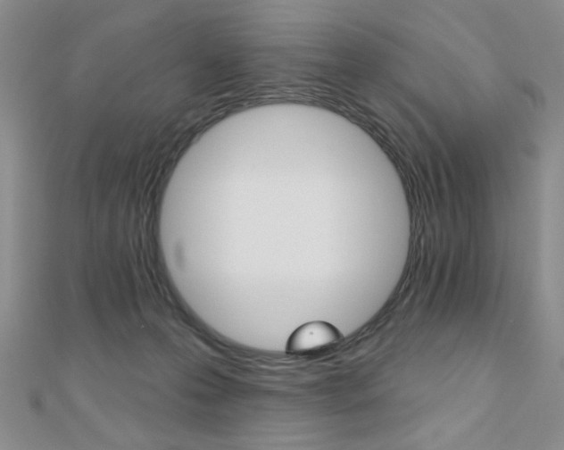 X0000110680223200906121041