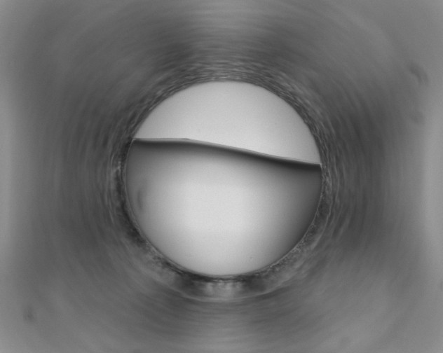 X0000110680225200906121041