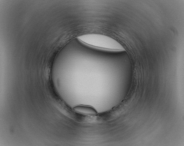 X0000110680227200906121041
