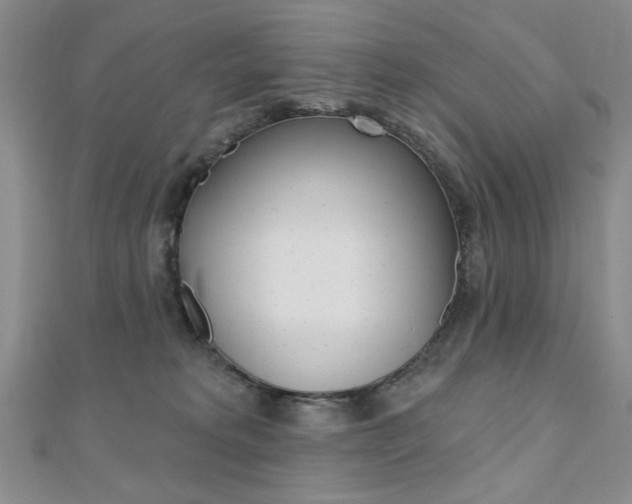 X0000110680229200906121041