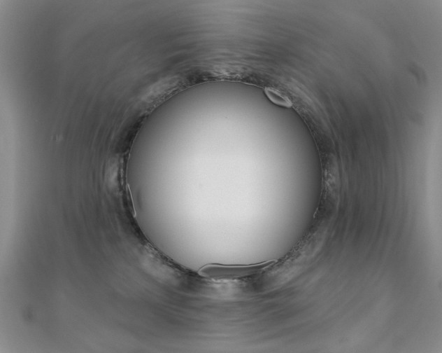 X0000110680233200906121041