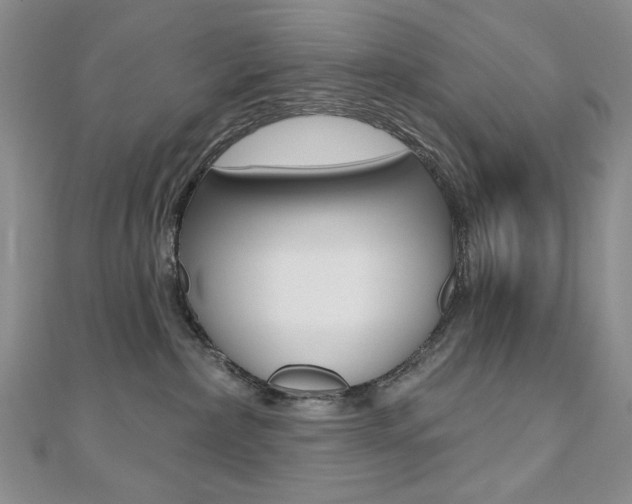 X0000110680236200906121041