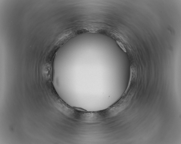 X0000110680237200906121041