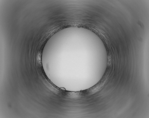 X0000110680238200906121041