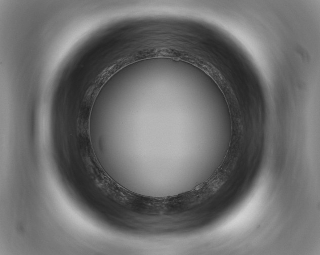 X0000110680239200906121041