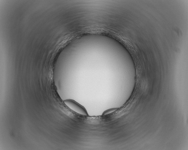 X0000110680240200906121041