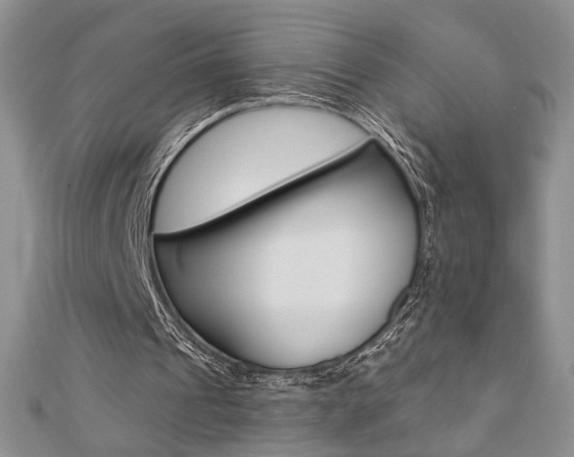 X0000110680241200906121041