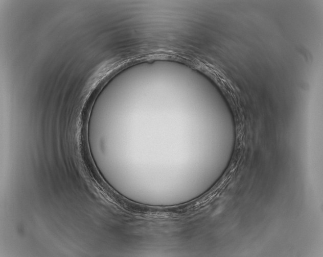 X0000110680242200906121041