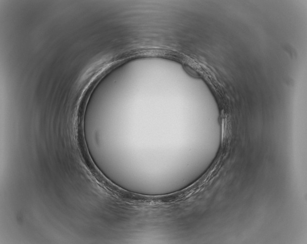 X0000110680243200906121041