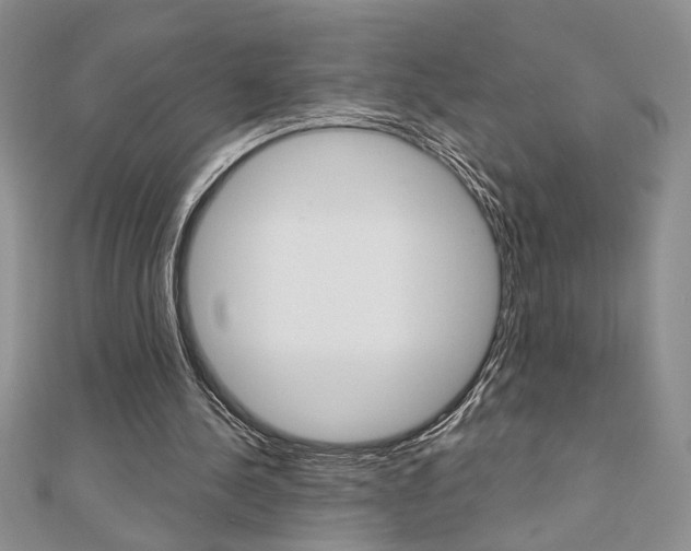 X0000110680244200906121041