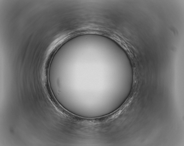 X0000110680245200906121041