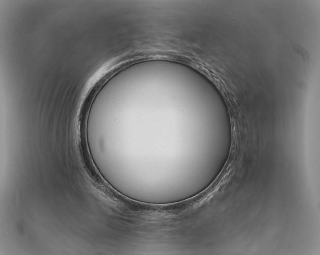 X0000110680246200906121041