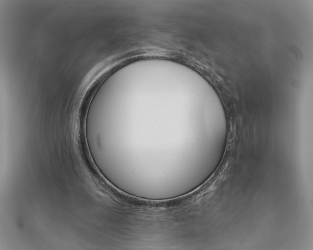 X0000110680247200906121041