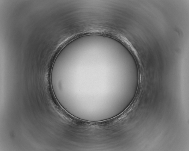 X0000110680249200906121041