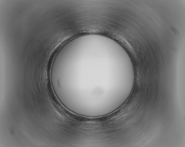 X0000110680251200906121041