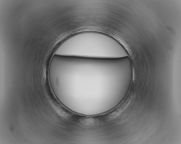X0000110680253200906121041