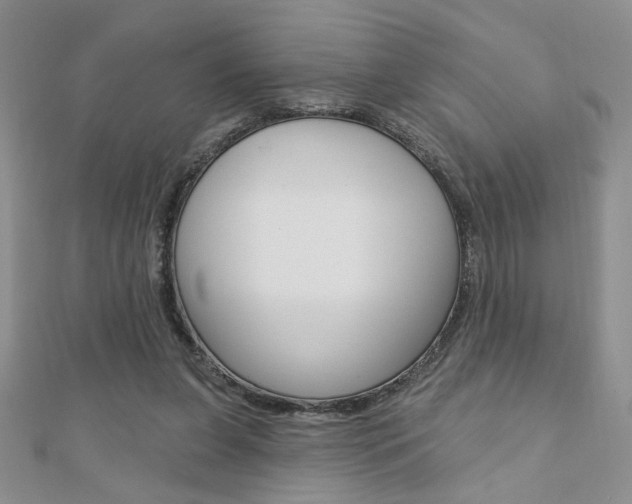 X0000110680255200906121041