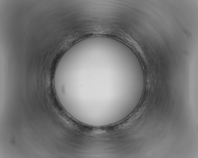 X0000110680257200906121041
