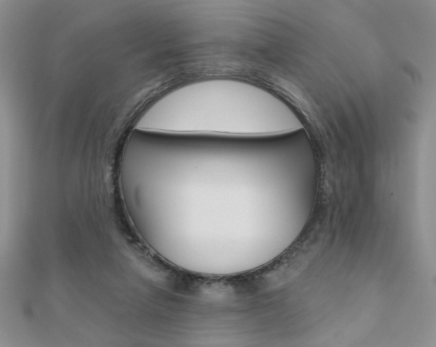 X0000110680258200906121041