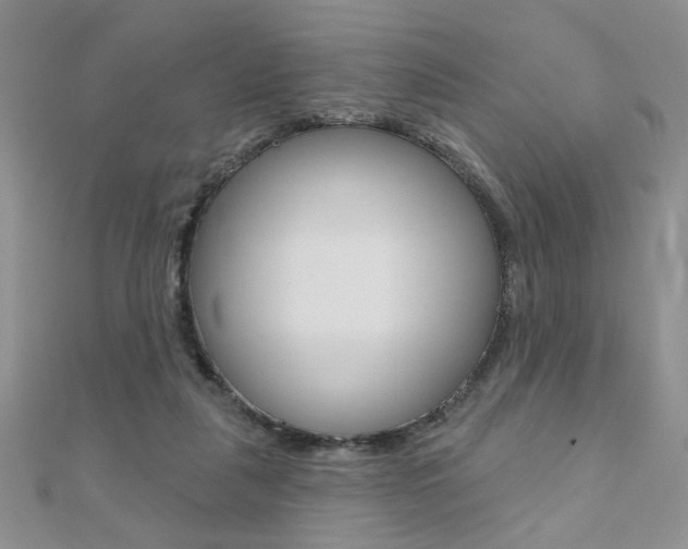 X0000110680259200906121041