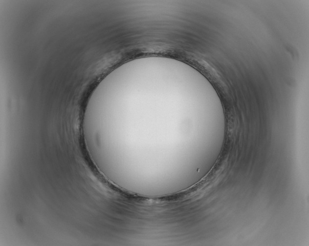 X0000110680261200906121041