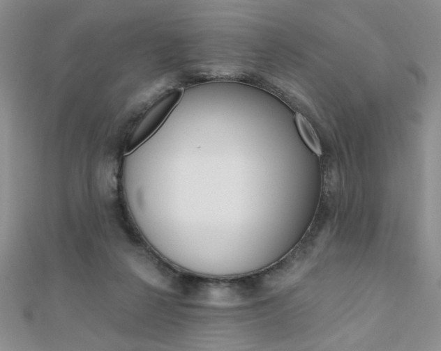 X0000110680264200906121041