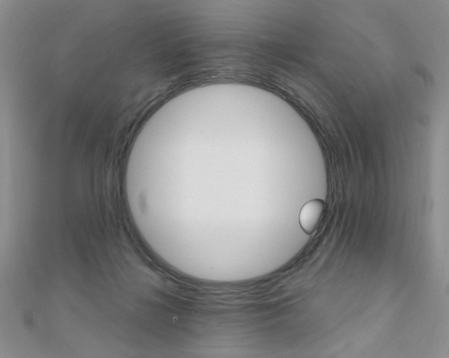 X0000110680268200906121041