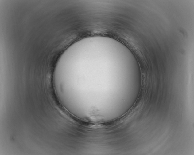 X0000110680269200906121041