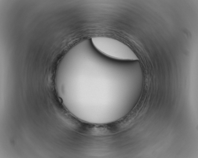 X0000110680270200906121041