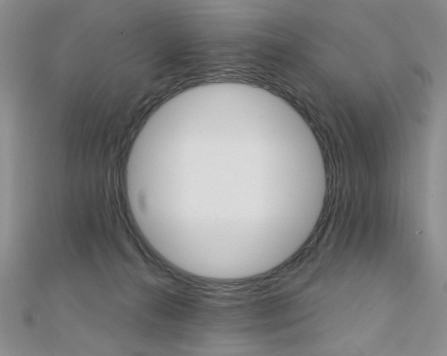 X0000110680272200906121041