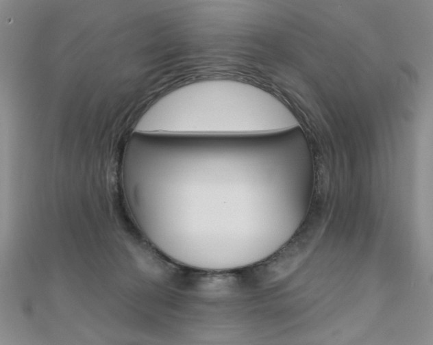 X0000110680274200906121041