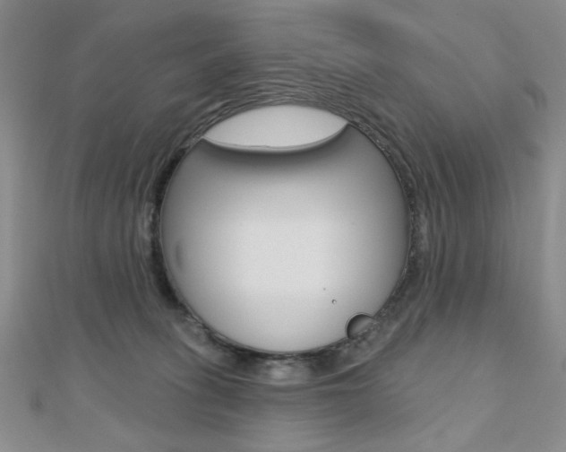 X0000110680275200906121041