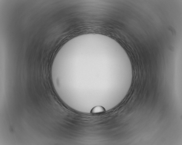 X0000110680276200906121041