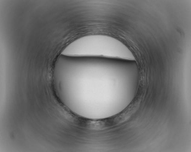 X0000110680277200906121041