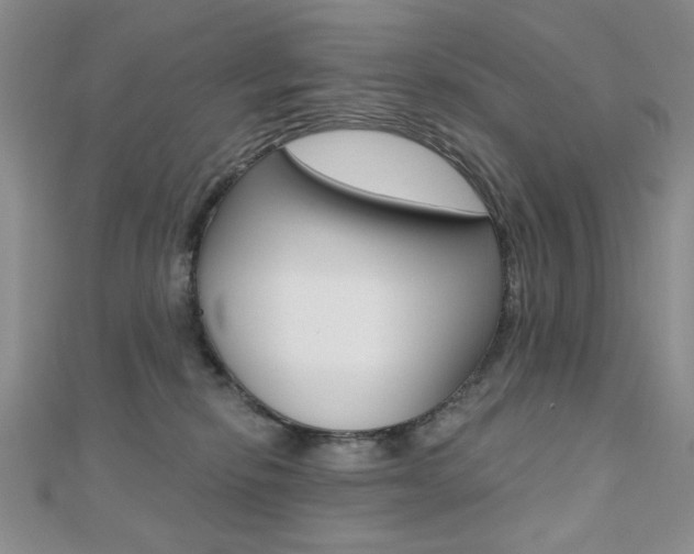 X0000110680278200906121041