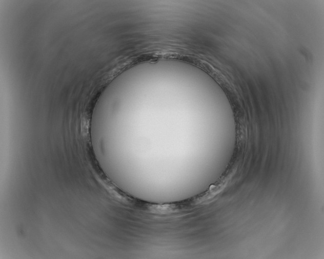 X0000110680281200906121041