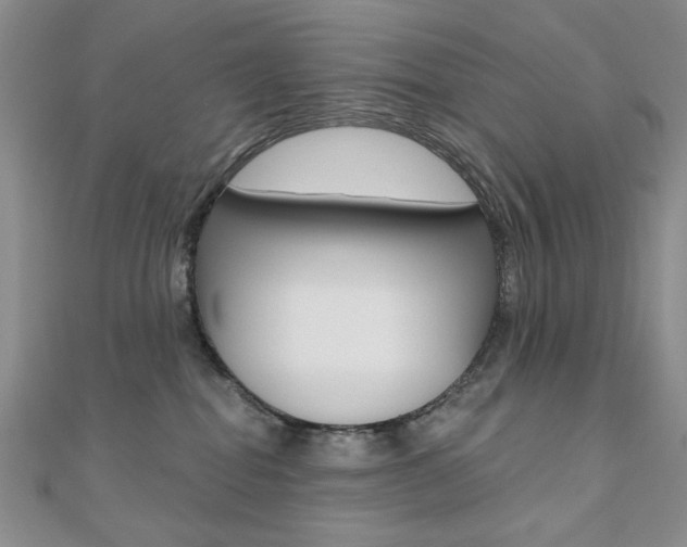 X0000110680282200906121041